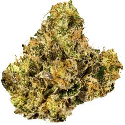 Gelato Cake 26%