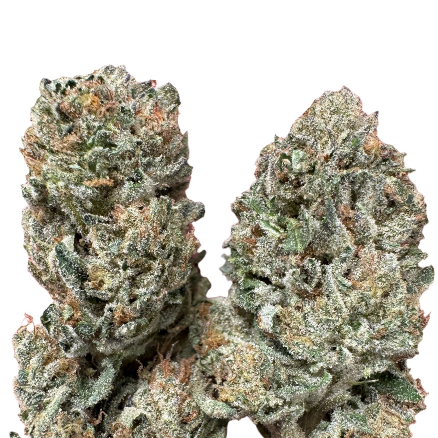 Hash Burger 24%