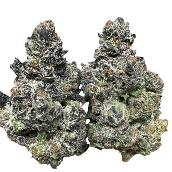 Gelato 41%